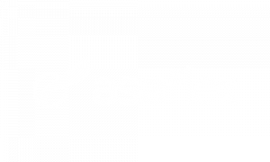 logo_asaflex